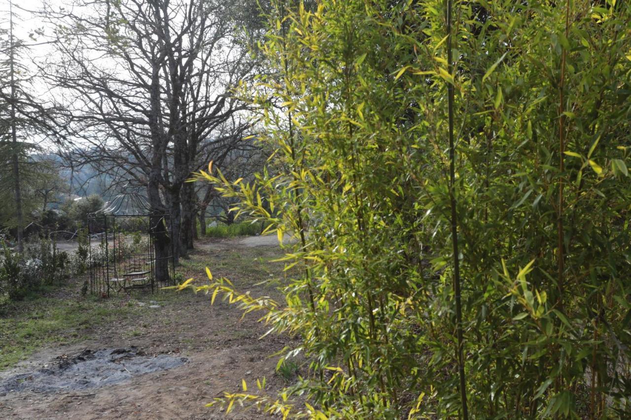 Luberon Des Artistes 2 Ferienhaus *